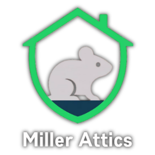Miller attics