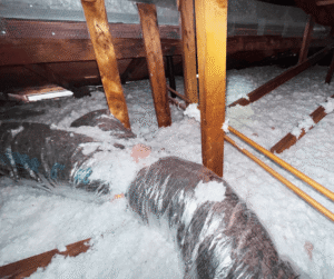 batt insulation in attic space