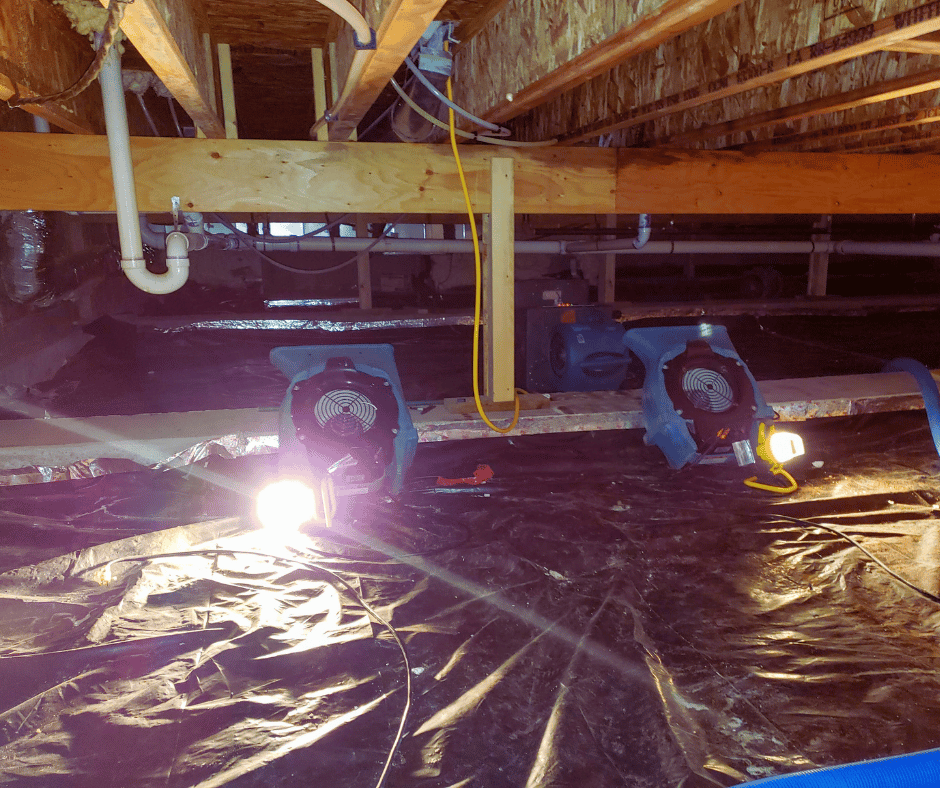 Crawl Space Clean Up