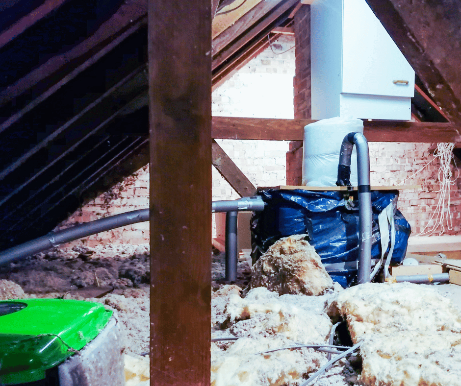Attic Clean Up Service