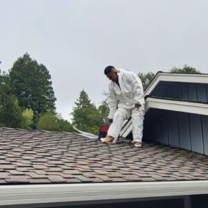 professional worker of miller attics in roof for rodent proofing