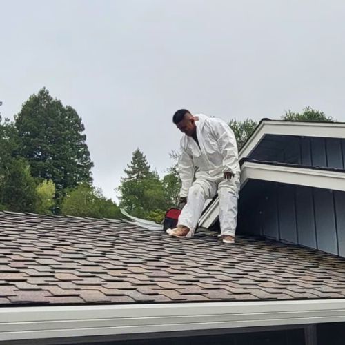 professional worker of miller attics in roof for rodent proofing