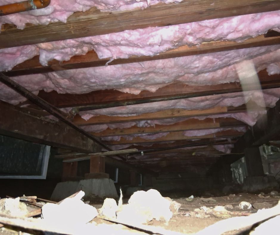 Crawl-Space-Services-JPG