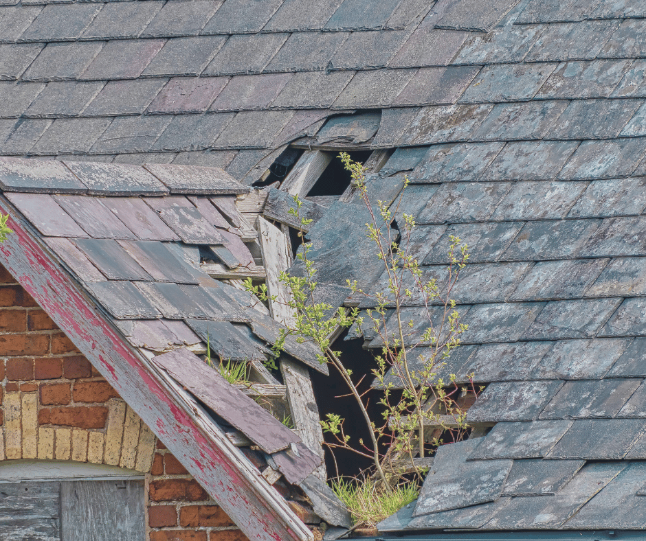 Pitched Roof Insulation