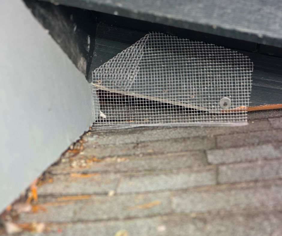 rodent-proofing-jpg
