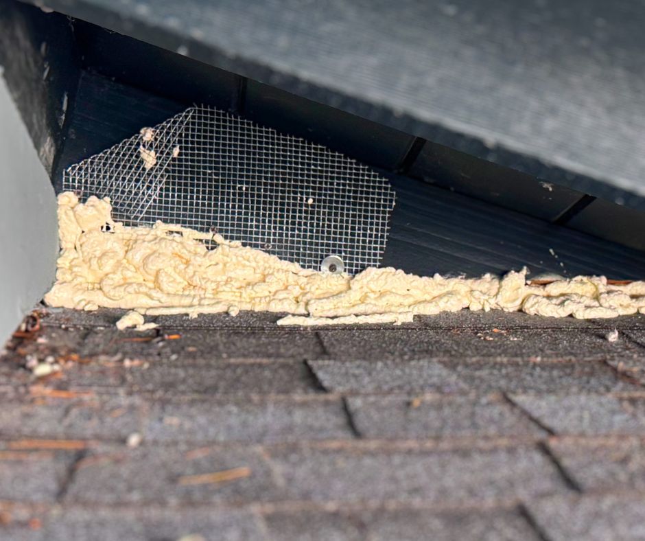 rodent-proofing-jpg