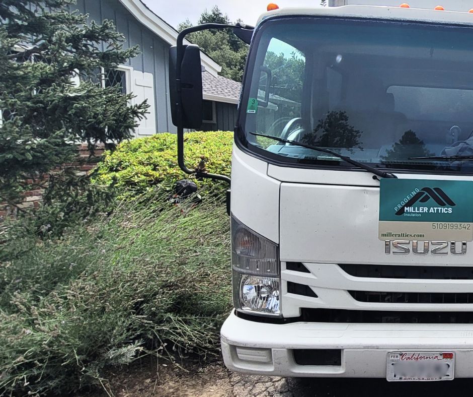 Attic-Services-in-Sonoma-CA