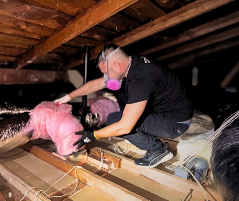 Is Pink Insulation Dangerous? Everything You Need to Know About ...