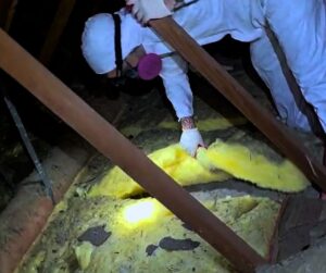 is blow in insulation cheaper than batts