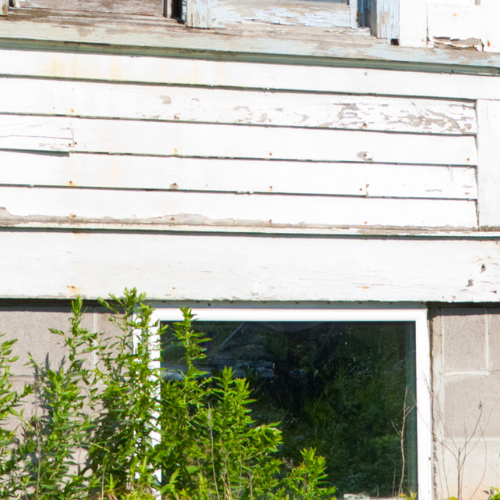 crawl space services