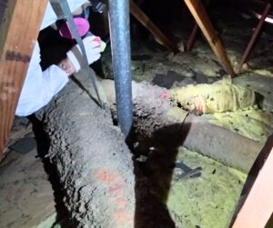 batt insulation in attic space