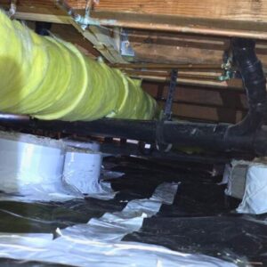 Crawl Space Mold Removal