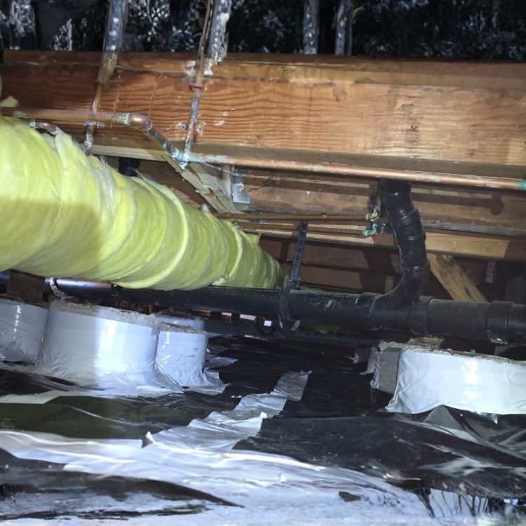 Crawl Space Mold Removal