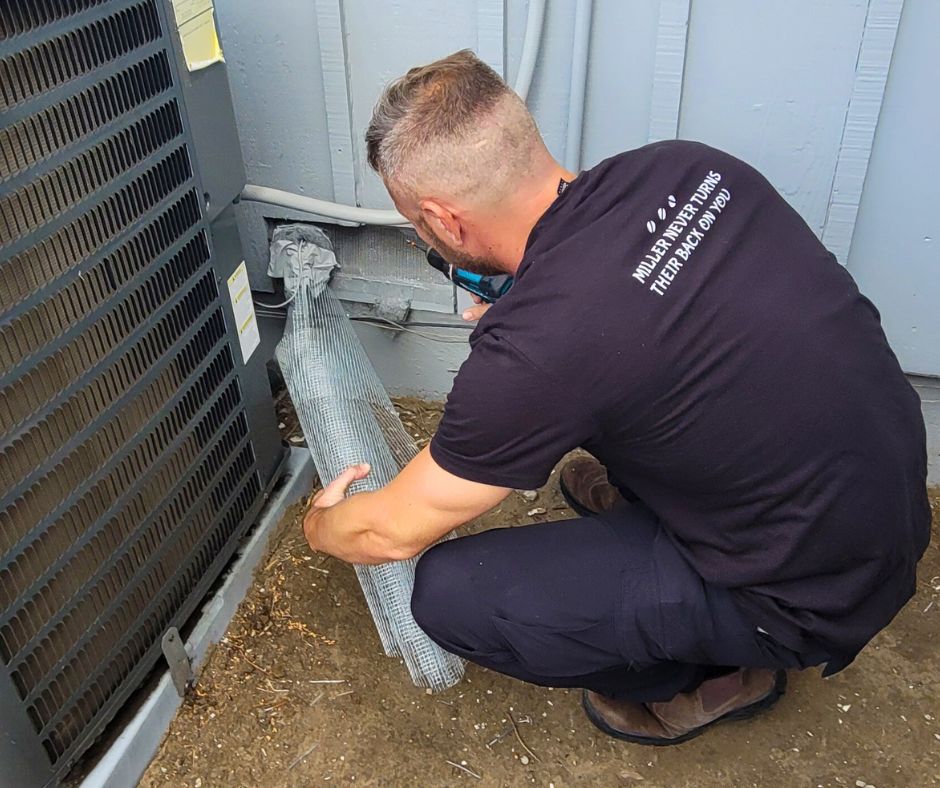 pest control vallejo ca