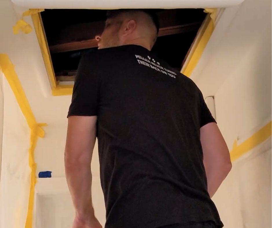Attic Ladder Installation
