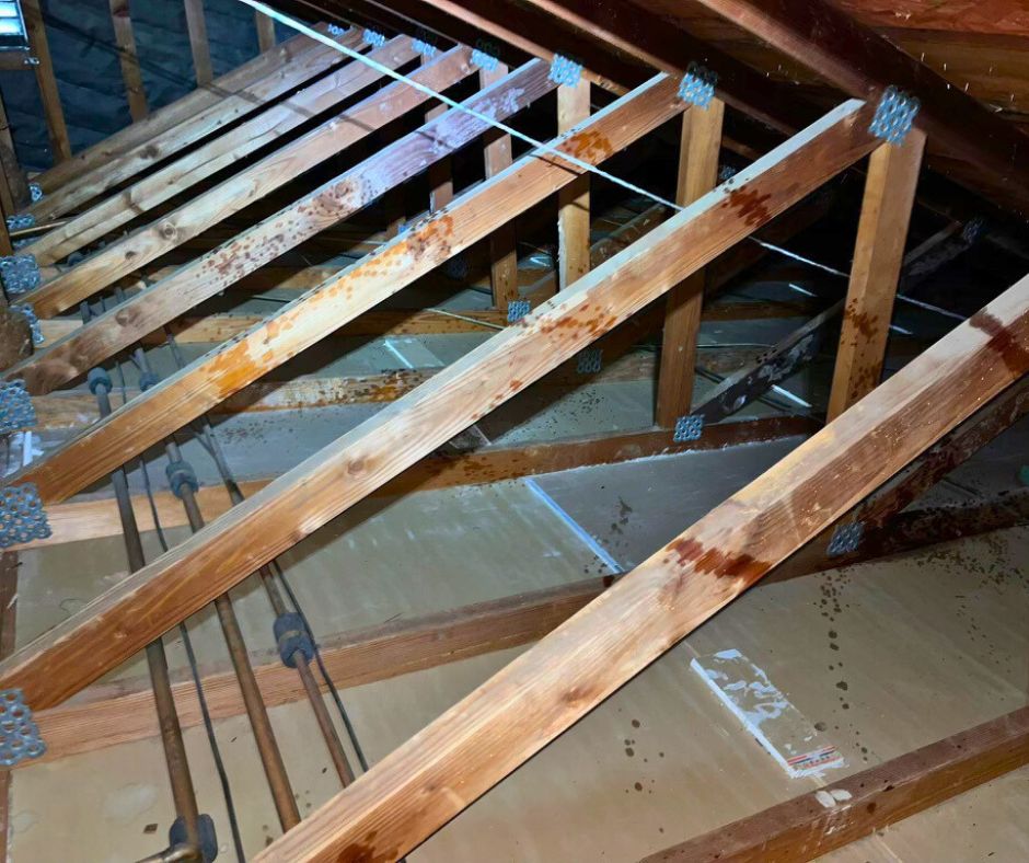 Attic space with wooden beams and insulation installed between joists for improved thermal efficiency