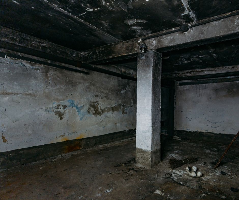 Bay Area Moisture Control