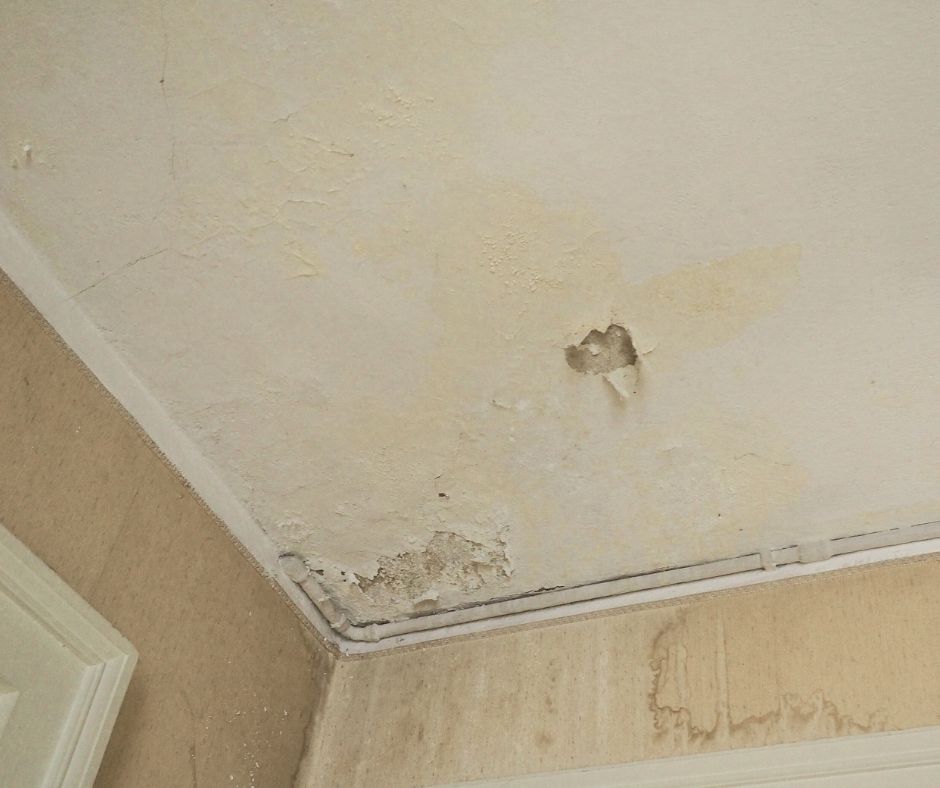 Mold-Remediation-Services-JPG