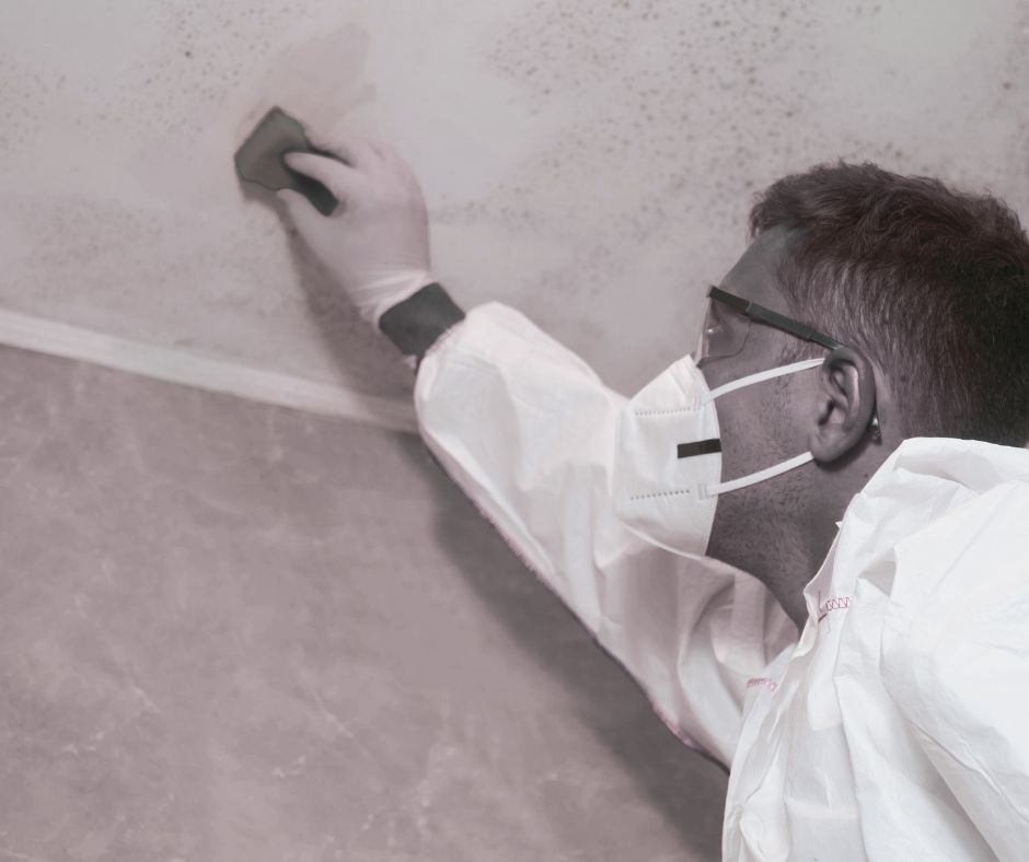 Mold-Remediation-Services-JPG