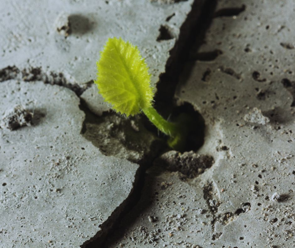 vapor barrier for crawl space