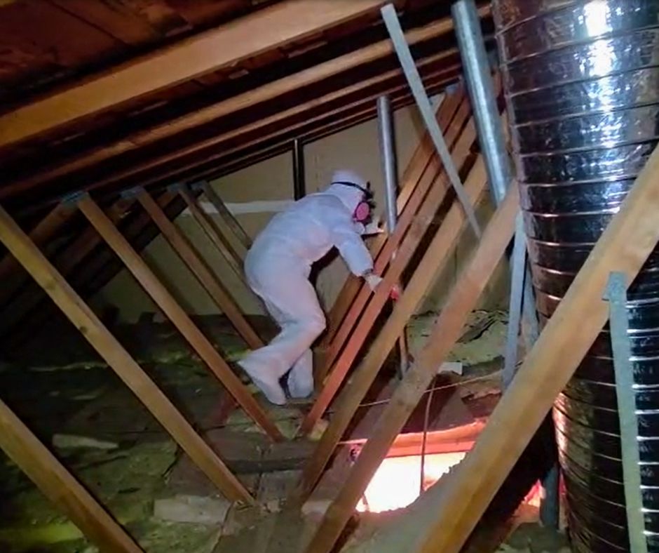 cost to check air ducts for leaks