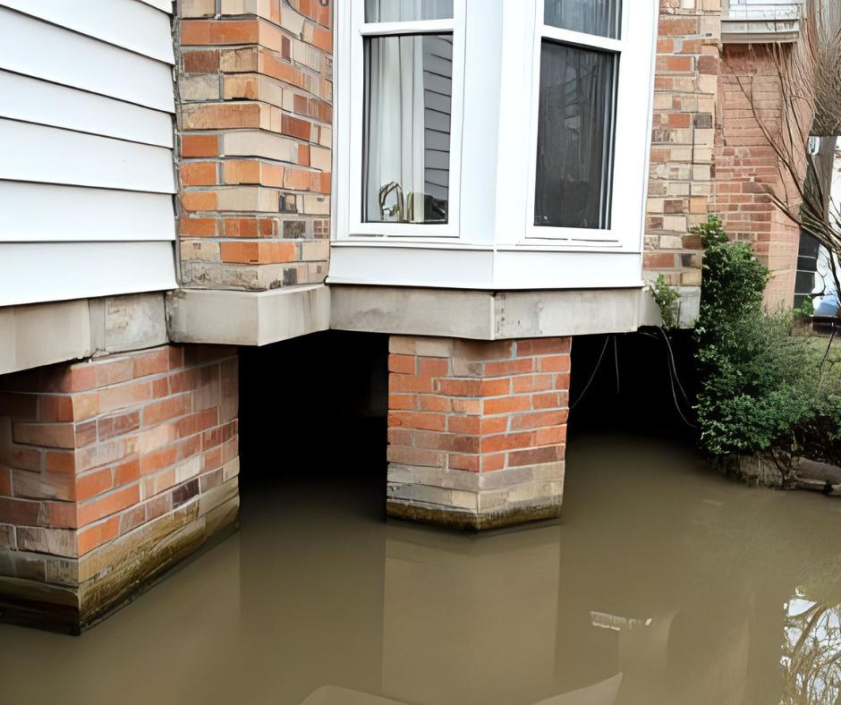 Bay Area Moisture Control