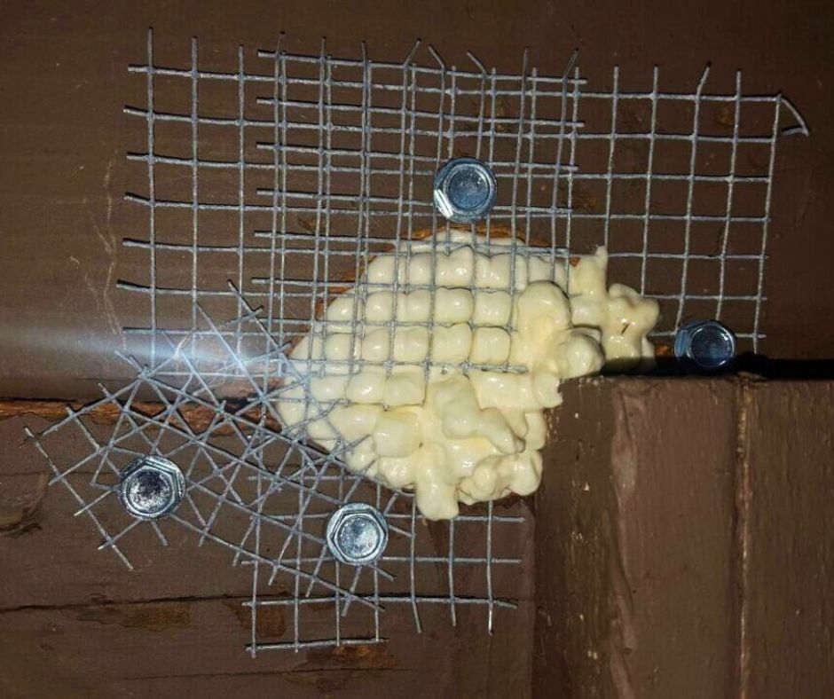 rodent-proofing-services-jpg