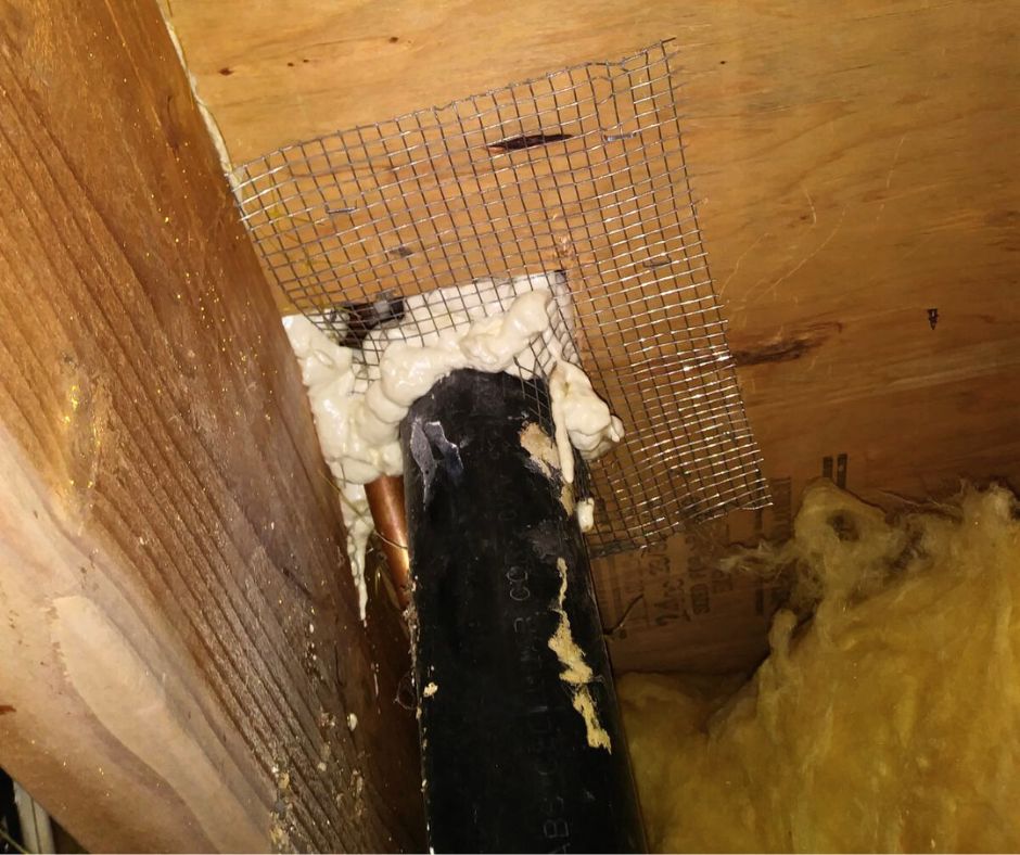 rodent-proofing-services-jpg