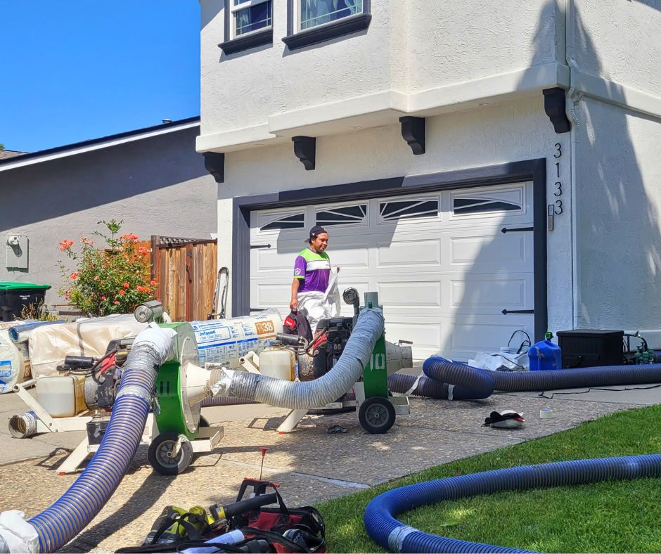 how to inspect for mold in attic