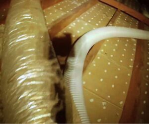 how to inspect for mold in attic