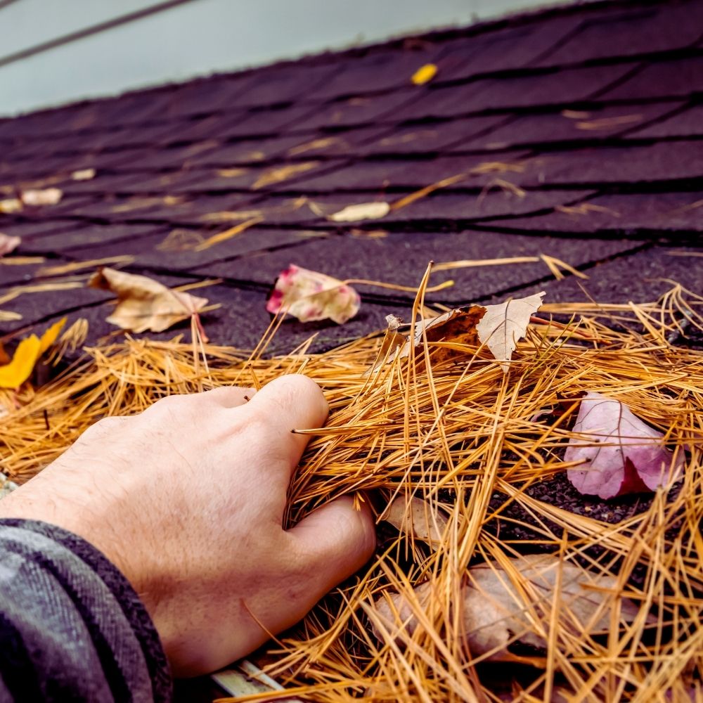 Are Rain Gutters Necessary