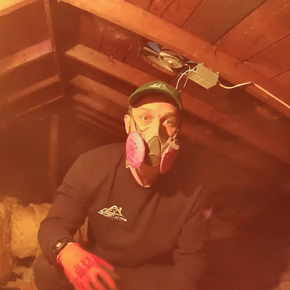 Attic Inspection Services Near Me
