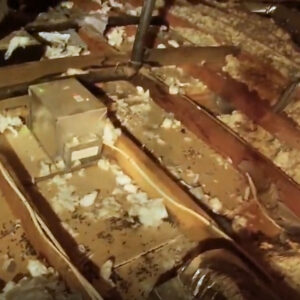 Attic Inspection Services Near Me