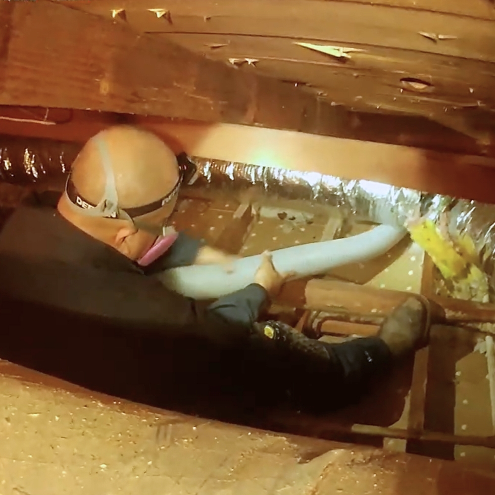 Attic Inspection Services Near Me