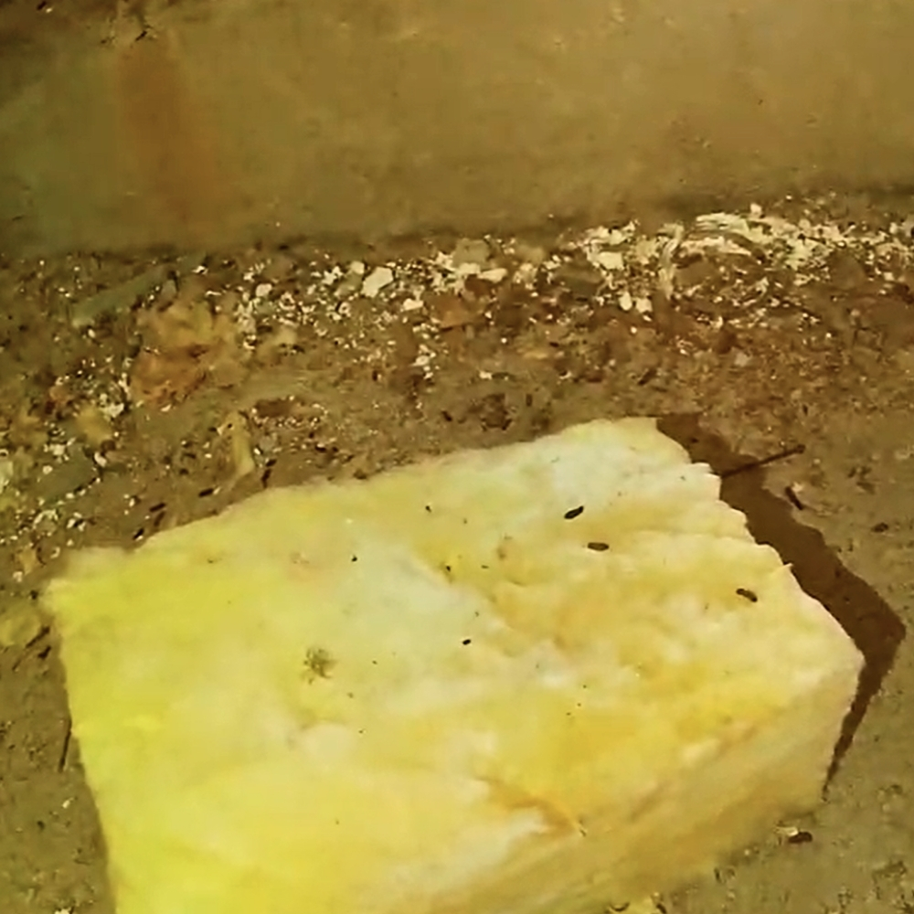 attic insulation companies