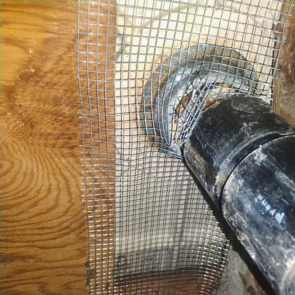 pest-control-Vallejo-JPG