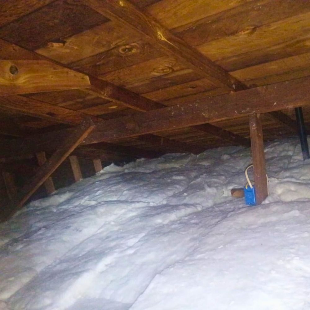 pest-control-Vallejo-JPG