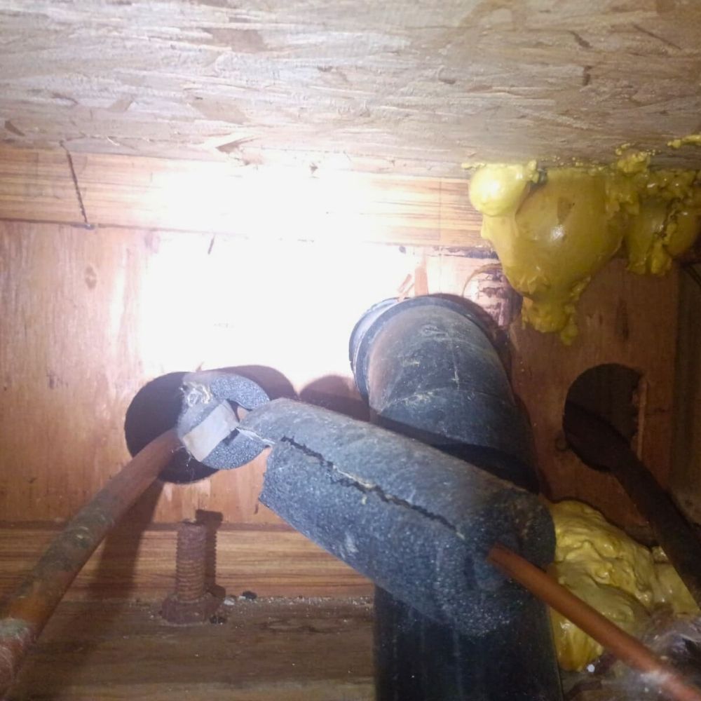 pest-control-Vallejo-JPG