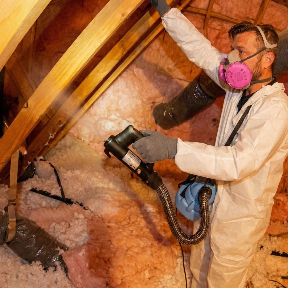 pest-control-Vallejo-JPG