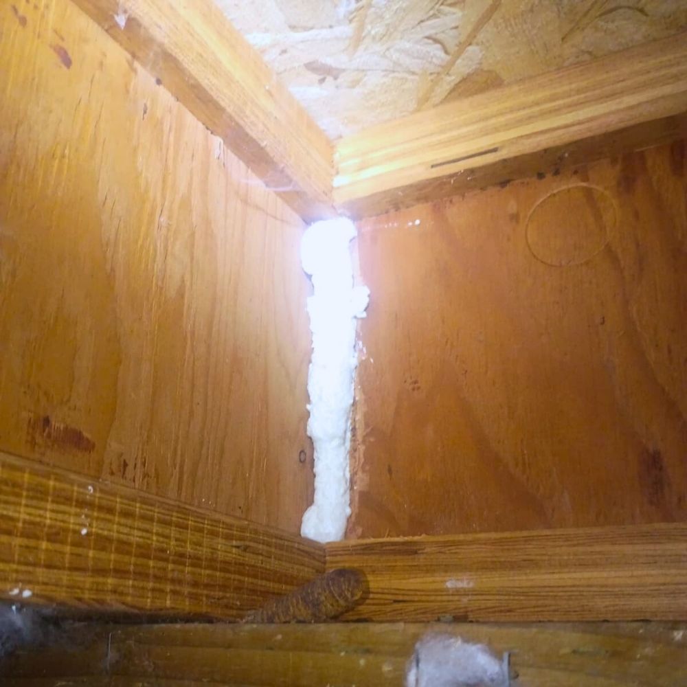 rodent-exclusion-jpg