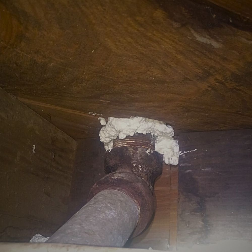 rodent-exclusion-jpg