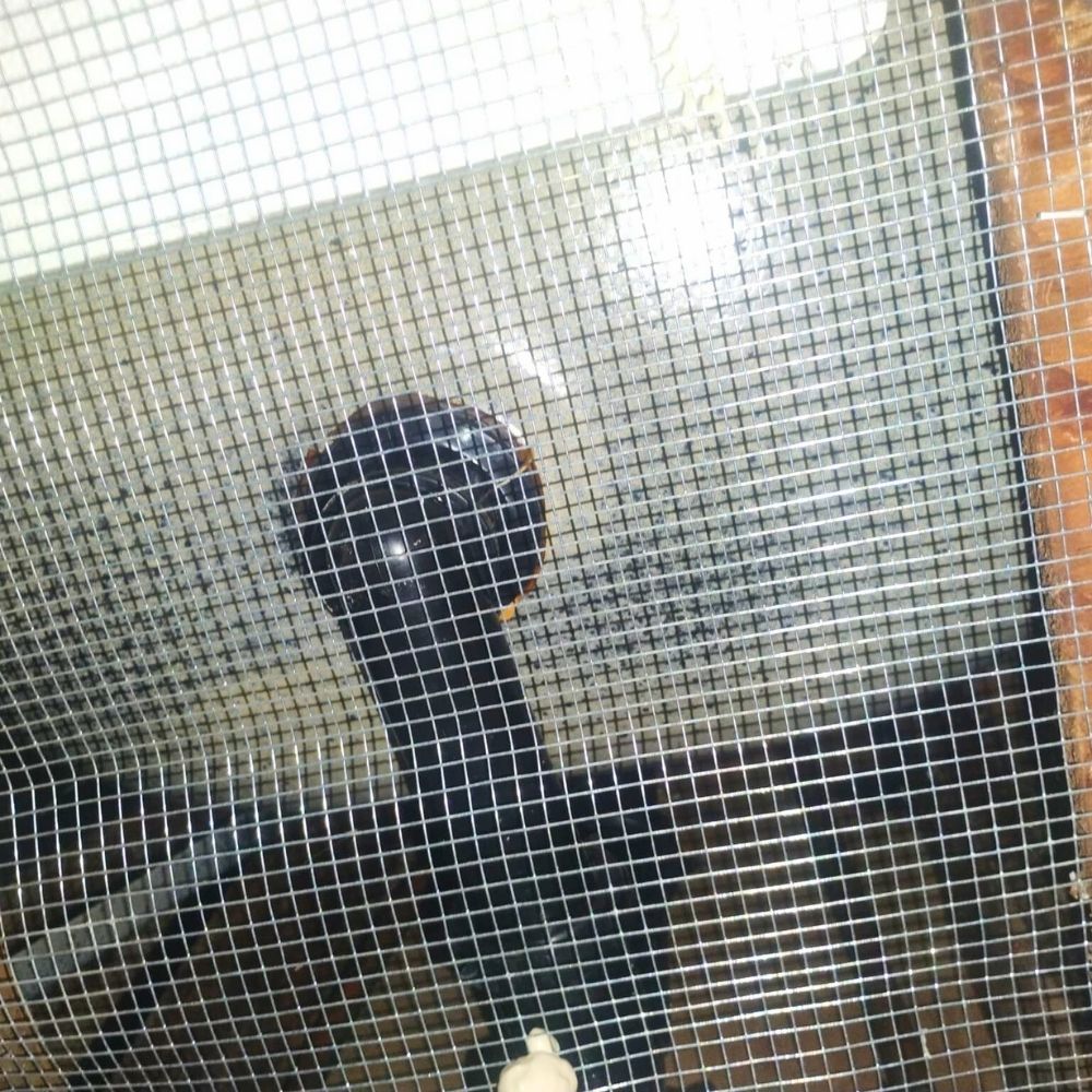 Rodent-Control-Products-JPG