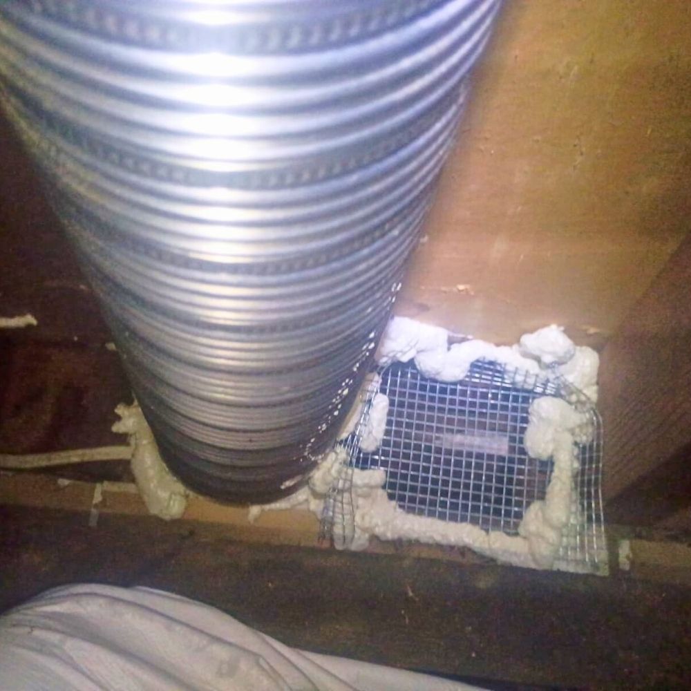 Rodent-Control-Products-JPG