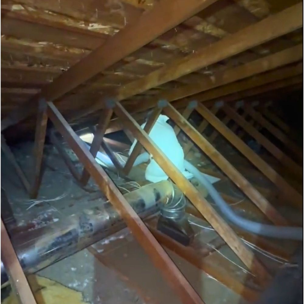 Attic-Cleaning-Services-Concord-jpg