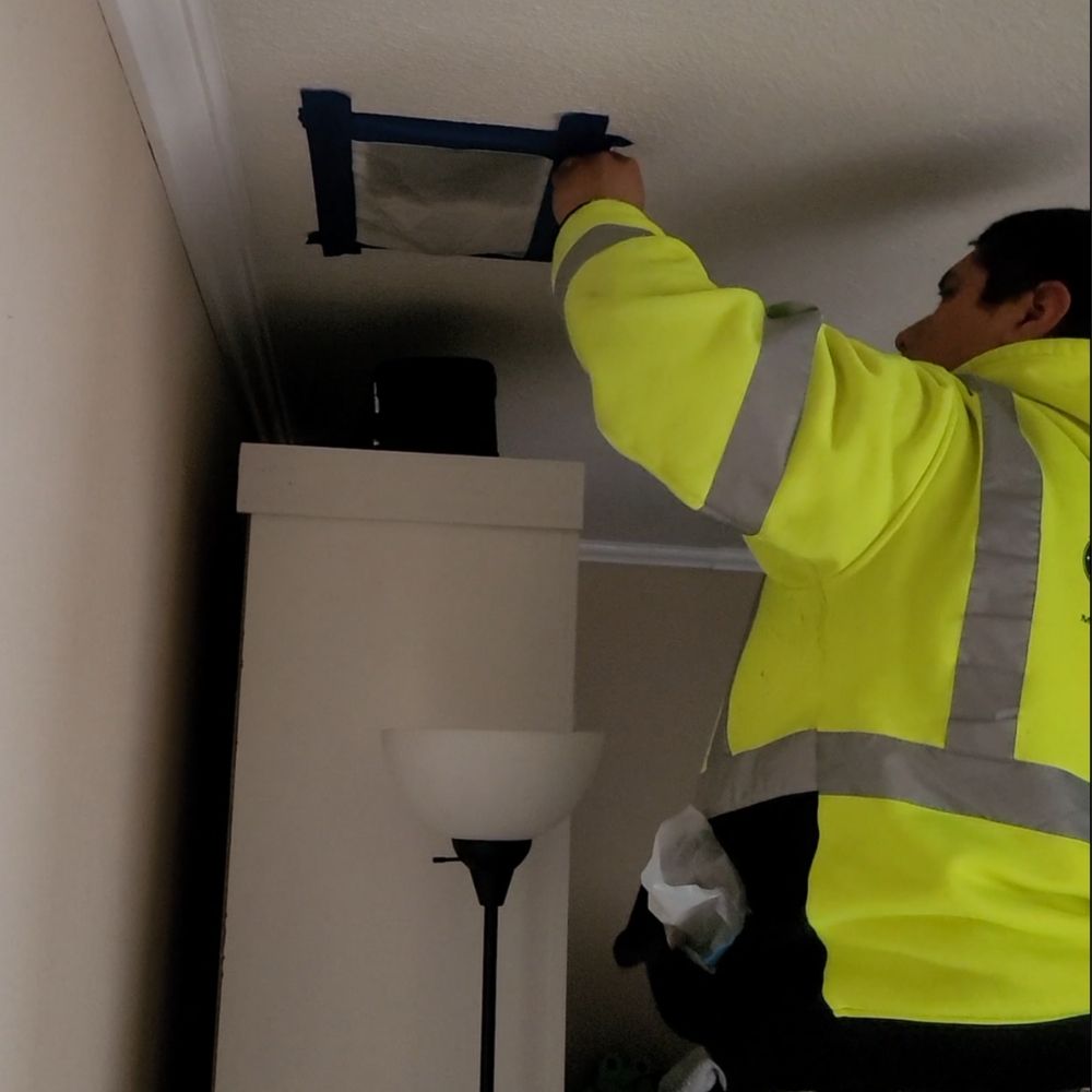 Rodent-Control-Concord-JPG