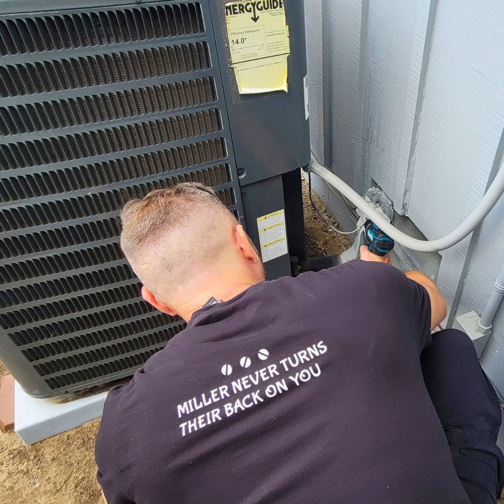 rodent-control-dublin-jpg