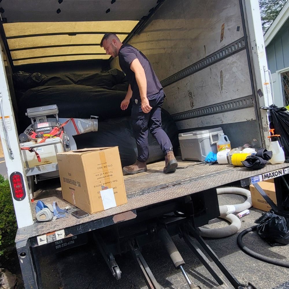 rodent-control-dublin-jpg