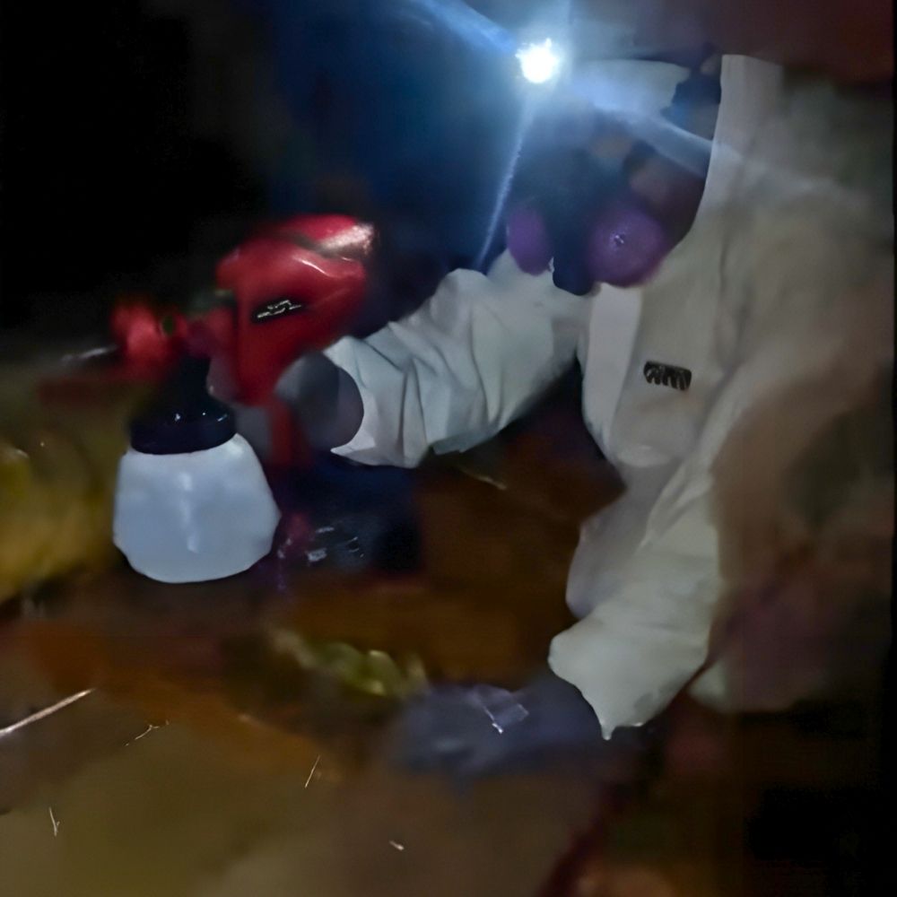 Is-Pest-Control-Worth-It-JPG