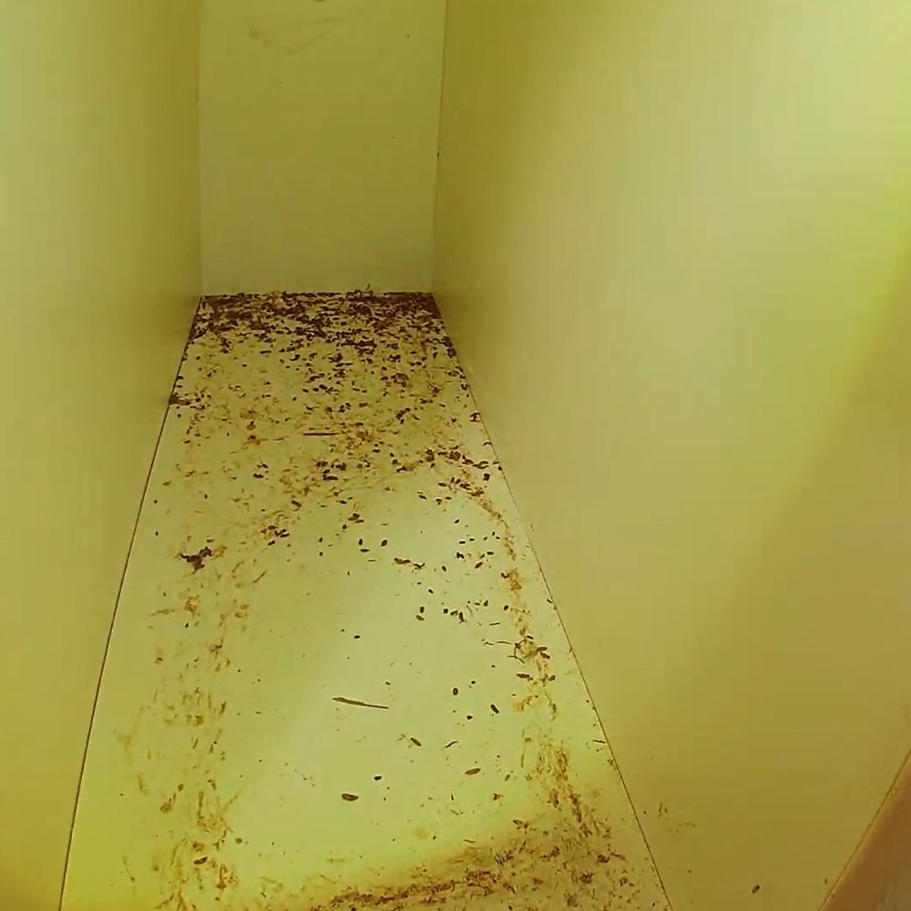 crawl-space-cleaning-jpg