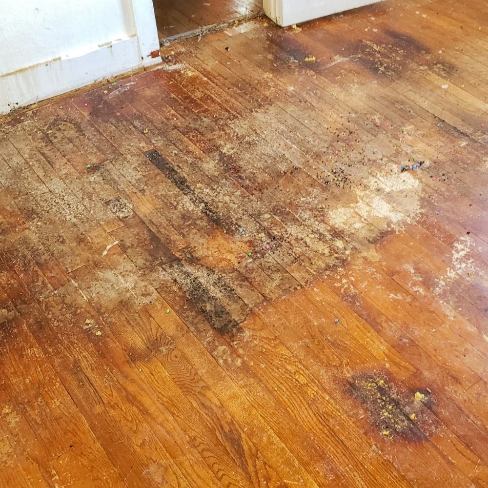 Bay-Area-Moisture-Control-JPG